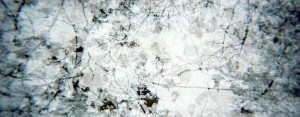 Processes Potentials
